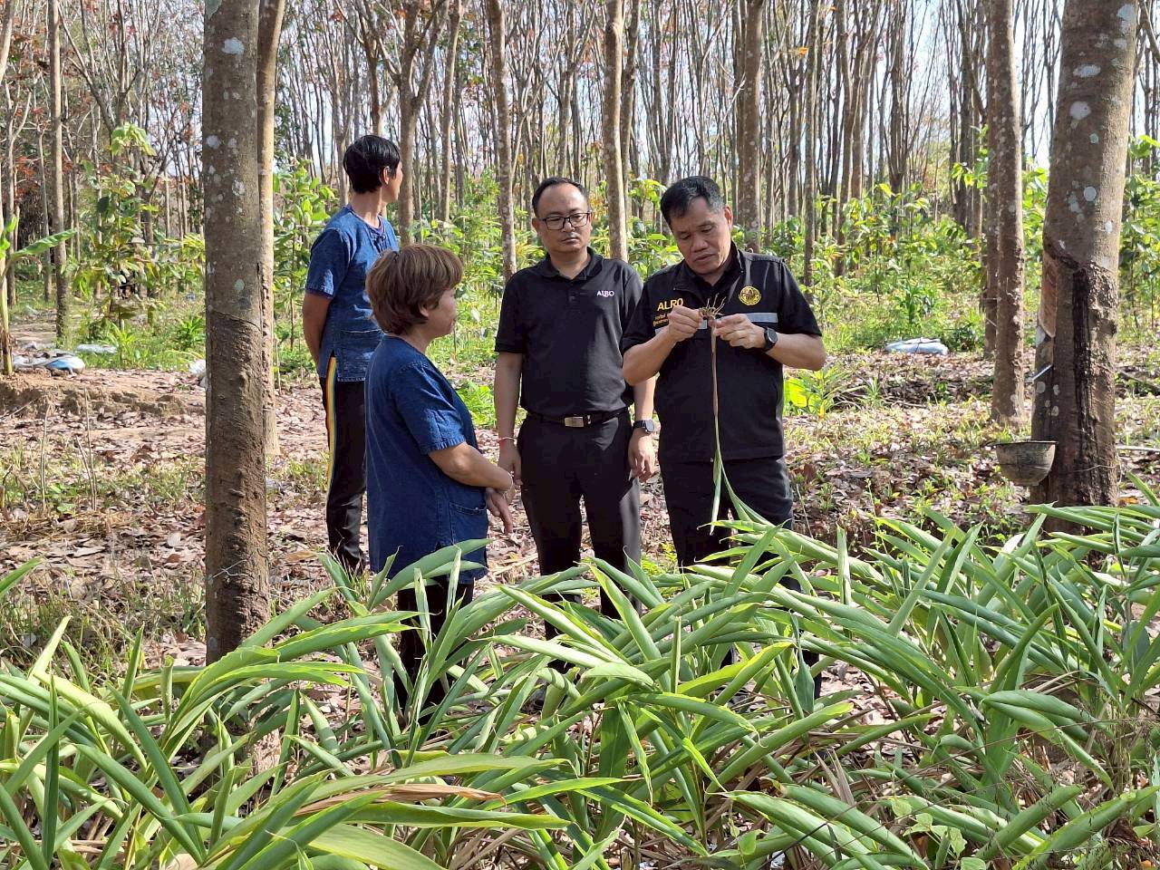 title - ผู้ตรวจราชการ ส.ป.ก. ประชุมตรวจราชการและติดตามความก้าวหน้าผลการดำเนินงานตามแผนการตรวจราชการของผู้ตรวจราชการสำนักงานการปฏิรูปที่ดินเพื่อเกษตรกรรม ประจำปีงบประมาณ พ.ศ. 2569 รอบที่ 1 เขตตรวจราชการที่ 11 จังหวัดมุกดาหาร